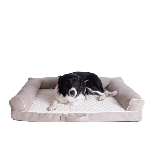 Armarkat D07B Medium Bolstered Pet Bed Cushion W Memory Foam