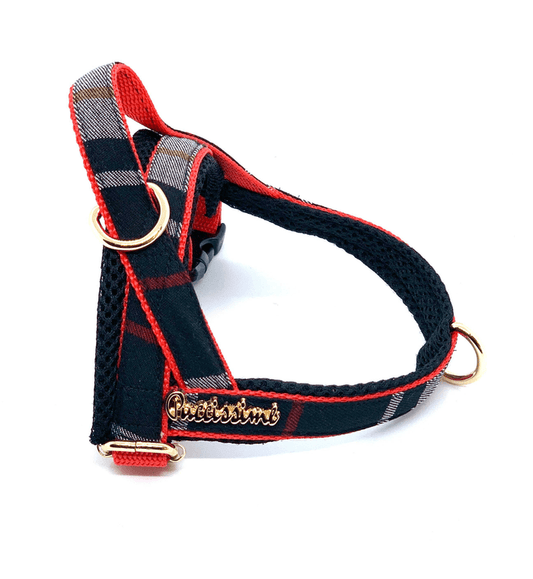 Collette One-click Dog Harness