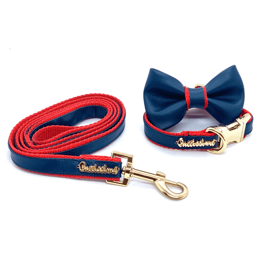 Cardinal collar, bow tie, leash and poo bag holder set