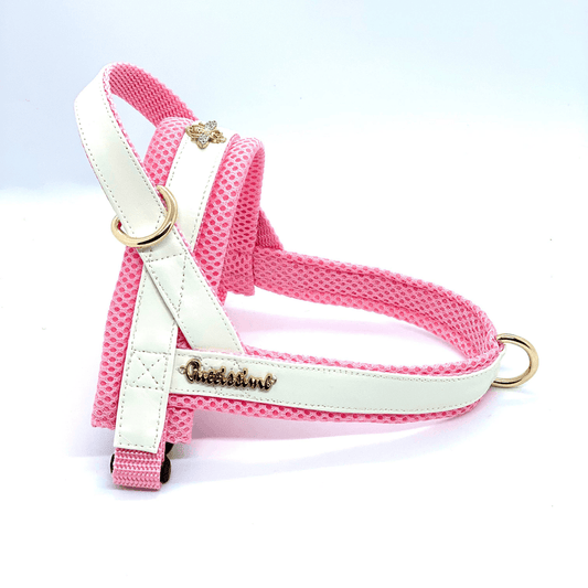 My baby girl One-click dog harness
