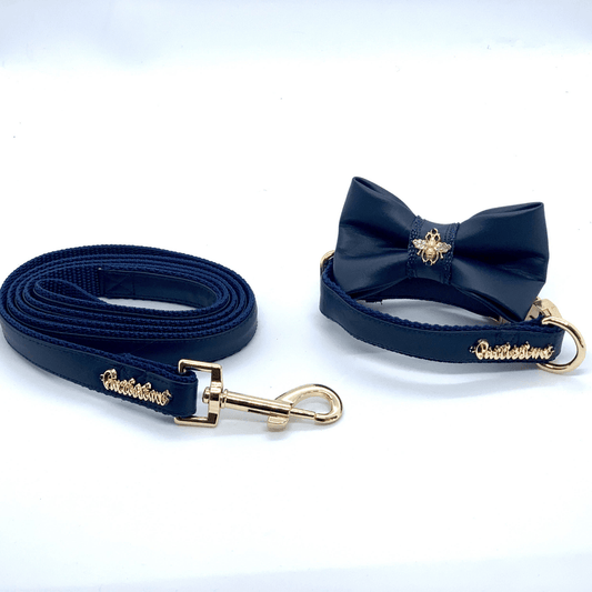 Neptune Dog Collar, Bow Tie, Leash Set